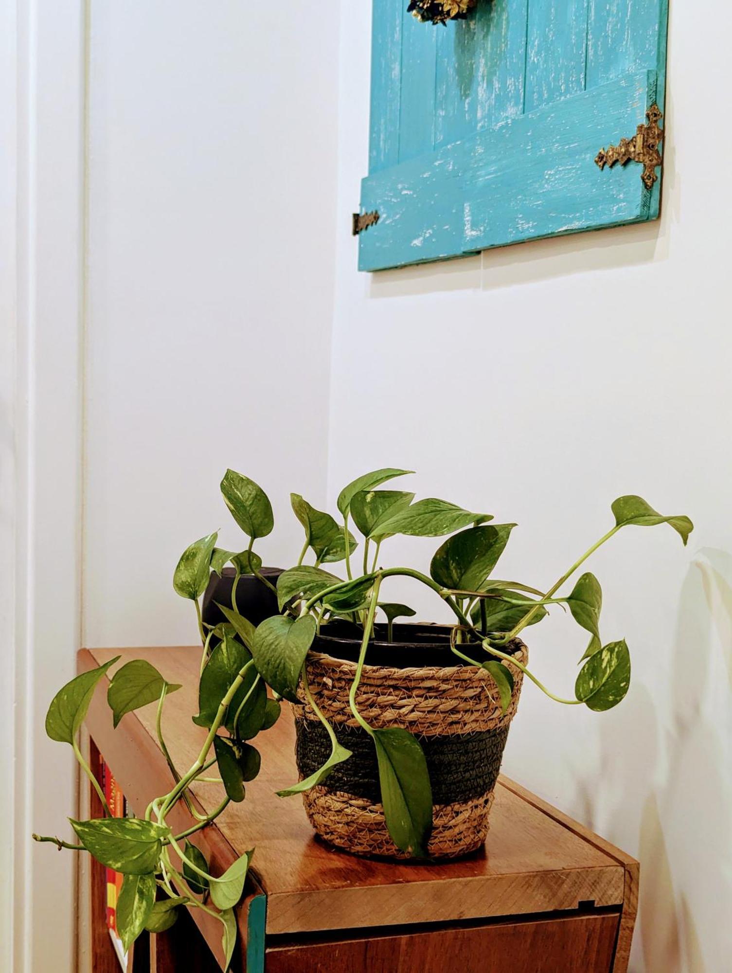 Intrecci & Impasti Apartment Naples Luaran gambar
